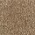 Aladdin Carpet: Classical Design III 15' Desert Mud